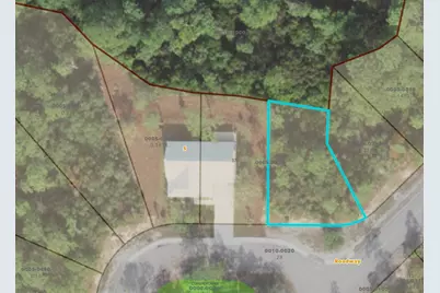 137 Anhinga Ct, Carrabelle, FL 32323 - Photo 8