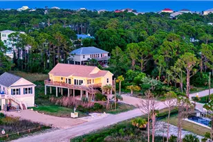 339 Nedley St, Saint George Island, FL 32328 - Photo 70