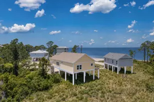 339 Nedley St, Saint George Island, FL 32328 - Photo 8