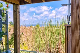 339 Nedley St, Saint George Island, FL 32328 - Photo 62
