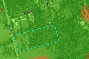 6088 Ganley Rd, Wewahitchka, FL 32465 - Photo 26
