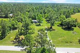 6088 Ganley Rd, Wewahitchka, FL 32465 - Photo 28