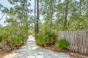 1248 Sea Dune Dr, Saint George Island, FL 32328 - Photo 46