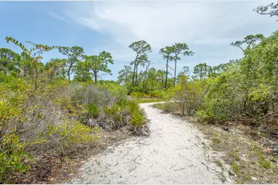 1248 Sea Dune Dr, Saint George Island, FL 32328 - Photo 48