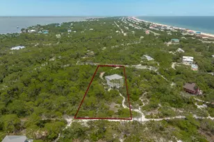 1248 Sea Dune Dr, Saint George Island, FL 32328 - Photo 48