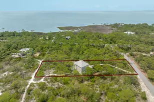 1248 Sea Dune Dr, Saint George Island, FL 32328 - Photo 52