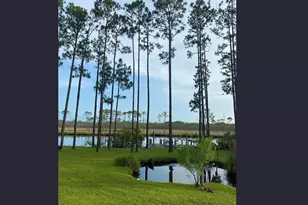 15 White Wy, Carrabelle, FL 32322 - Photo 8