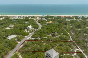 1244 Sea Dune Dr, Saint George Island, FL 32328 - Photo 1