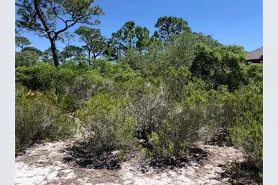 1244 Sea Dune Dr, Saint George Island, FL 32328 - Photo 8