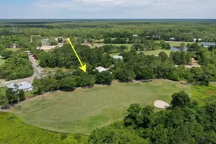 254 Royal Tern Way, Carrabelle, FL 32323 - Photo 1