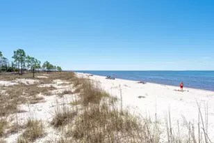 159 Breeze Ln, Port Saint Joe, FL 32456 - Photo 46