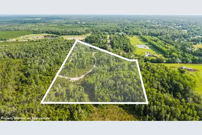 Tbd Old Dairy Farm Rd, Wewahitchka, FL 32465 - Photo 2