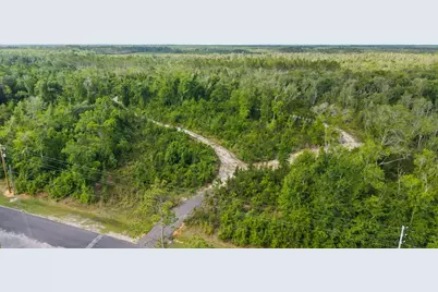 Tbd Old Dairy Farm Rd, Wewahitchka, FL 32465 - Photo 8
