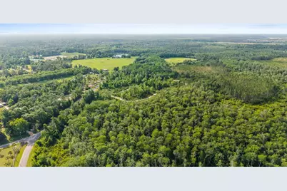 Tbd Old Dairy Farm Rd, Wewahitchka, FL 32465 - Photo 6