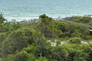 1640 Ivy Way, Saint George Island, FL 32328 - Photo 74