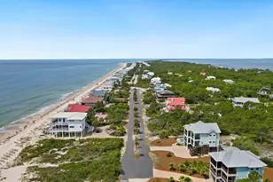 2008 Sea Fern Way, Saint George Island, FL 32328 - Photo 38