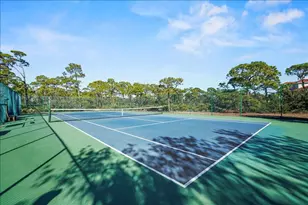 2128 Sea Fern Way, Saint George Island, FL 32328 - Photo 72