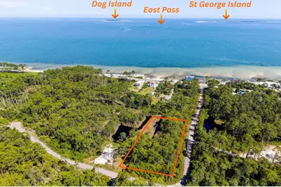 125 Bay Magnolia Ln, Carrabelle, FL 32322 - Photo 1