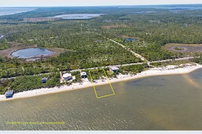 446 Bald Point Rd, Alligator Point, FL 32346 - Photo 12