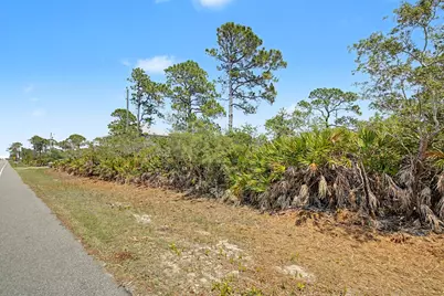 446 Bald Point Rd, Alligator Point, FL 32346 - Photo 2