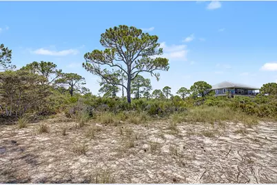 446 Bald Point Rd, Alligator Point, FL 32346 - Photo 18