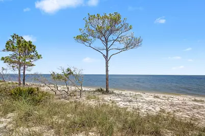 446 Bald Point Rd, Alligator Point, FL 32346 - Photo 8