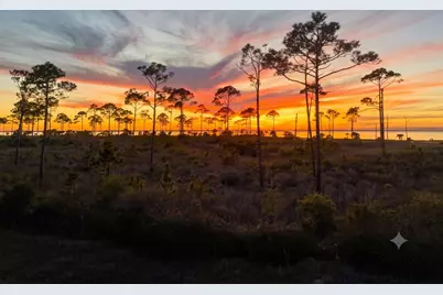 2579 Sr 30-A, Port Saint Joe, FL 32456 - Photo 68
