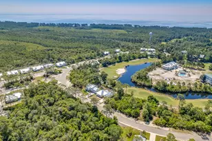381 Royal Tern Way, Carrabelle, FL 32323 - Photo 10