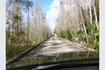 125 Water Oaks Way, Apalachicola, FL 32320 - Photo 20
