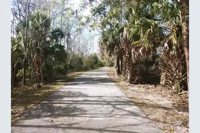 125 Water Oaks Way, Apalachicola, FL 32320 - Photo 24