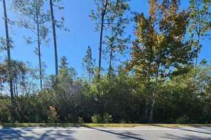 Lot 32 Doc Whitfield Rd, Wewahitchka, FL 32465 - Photo 1