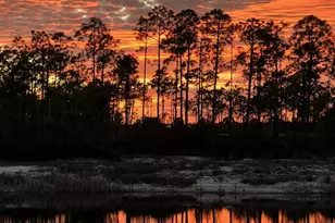 937 Backwater Rd, Port Saint Joe, FL 32456 - Photo 46