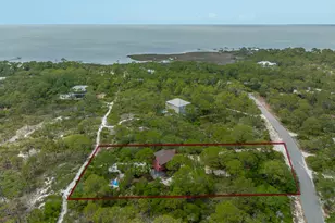 1240 Sea Dune Dr, Saint George Island, FL 32328 - Photo 36