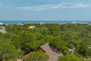 1240 Sea Dune Dr, Saint George Island, FL 32328 - Photo 40