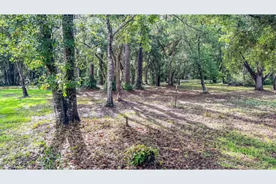 129 Franklin St, Carrabelle, FL 32322 - Photo 8