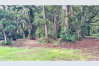129 Franklin St, Carrabelle, FL 32322 - Photo 10