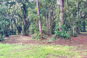 129 Franklin St, Carrabelle, FL 32322 - Photo 10
