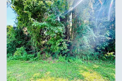 218 Highway 98, Eastpoint, FL 32328 - Photo 2
