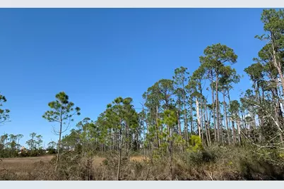 Tbd Smith Rd, Southport, FL 32409 - Photo 6
