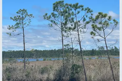 Tbd Smith Rd, Southport, FL 32409 - Photo 4