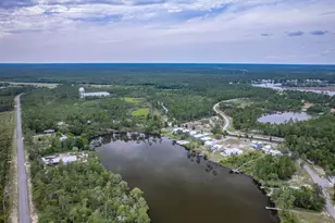 272 Lake McKissack Ln, Carrabelle, FL 32322 - Photo 50
