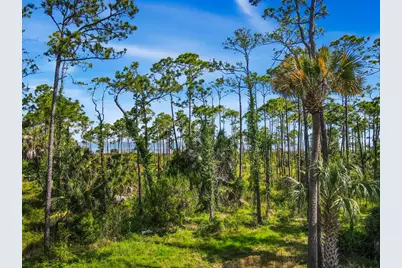 825 E Pine Ave, Saint George Island, FL 32328 - Photo 22