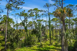 825 E Pine Ave, Saint George Island, FL 32328 - Photo 22