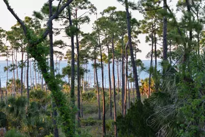 825 E Pine Ave, Saint George Island, FL 32328 - Photo 34