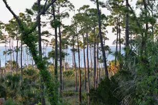 825 E Pine Ave, Saint George Island, FL 32328 - Photo 34