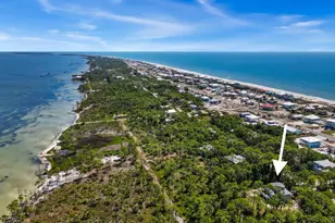 825 E Pine Ave, Saint George Island, FL 32328 - Photo 60