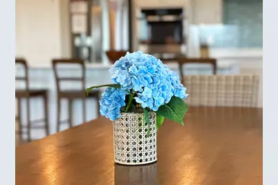 108 W Sand Dollar Way, Cape San Blas, FL 32456 - Photo 14