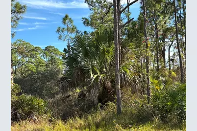 1012 Porter St, Saint George Island, FL 32328 - Photo 4