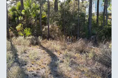 1012 Porter St, Saint George Island, FL 32328 - Photo 8