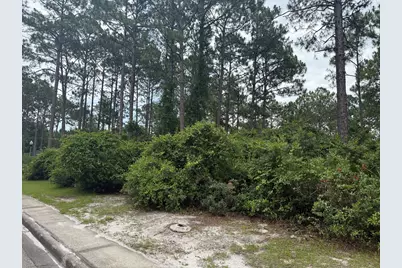 130 Skimmer Dr, Carrabelle, FL 32323 - Photo 8